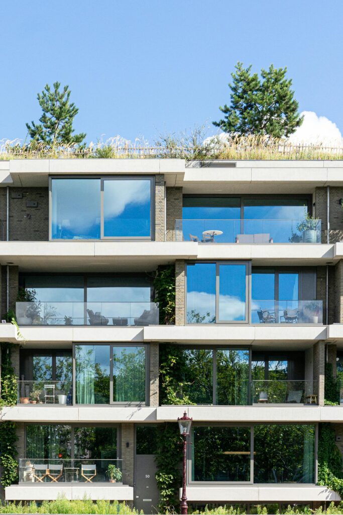 pexels grisha besko 76503632 36250472